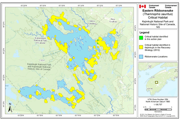 Figure 2: Critical habitat identified for the Eastern Ribbonsnake in Kejimkujik. (See long description below)