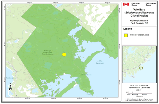 Figure 3. Critical habitat identified for Vole Ears Lichen in Kejimkujik. (See long description below)