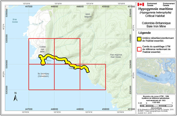 La figure 4 montre l'habitat essentiel de l'hypogymnie maritime à la baie Iron Min