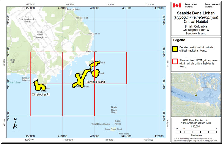 Critical habitat for Seaside Bone Lichen at Christopher Point and Bentinck Island