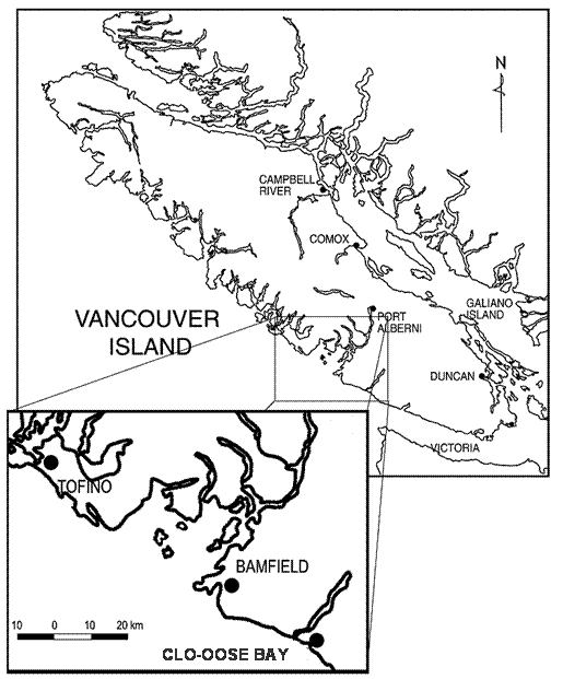 Figure 3. Historic distribution of Abronia umbellata in British Columbia.
