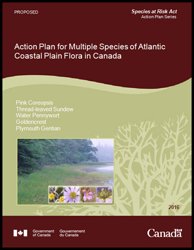 Cover photo of document