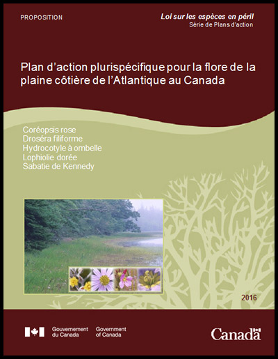 Photo de couverture de document