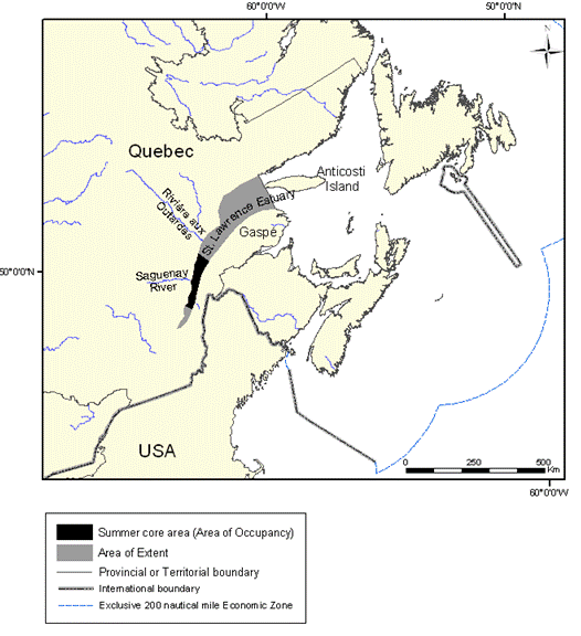 Figure 4: Extent of occurrence (area of extent) and summer core area of the St. Lawrence Estuary population of belugas.