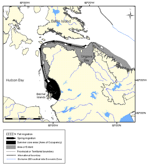 Figure 6: Extent of occurrence (area of extent) and summer core area of the Eastern Hudson Bay population of belugas.