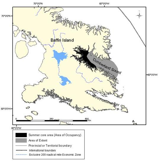 Figure 9: Extent of occurrence (area of extent) and summer core area of the Cumberland Sound population of belugas.