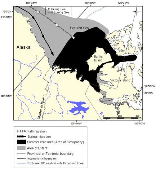 Figure 10: Extent of occurrence (area of extent) and summer core area of the Eastern Beaufort Sea population of belugas.
