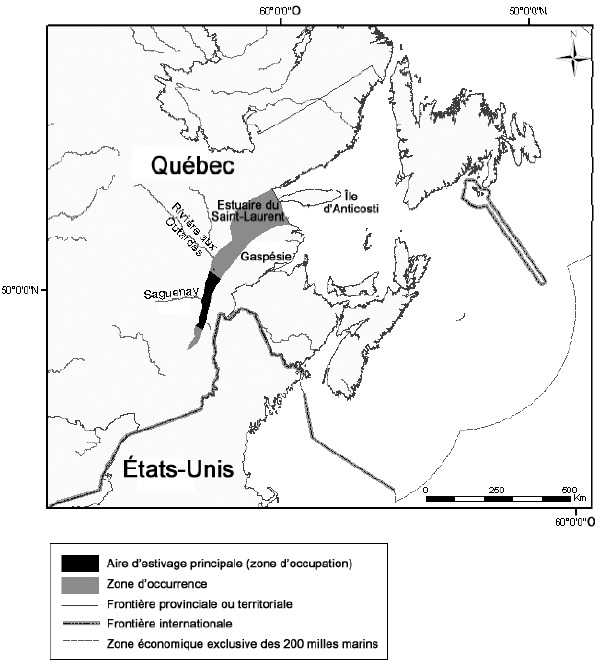 Figure 4 : Zone d’occurrence et aire d’estivage principale de la population de bélugas de l’estuaire du Saint-Laurent.