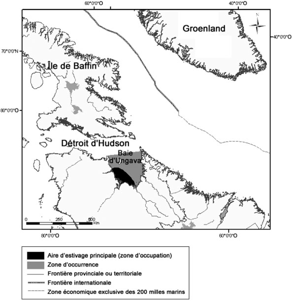 Figure 5 : Zone d’occurrence et aire d’estivage principale de la population de bélugas de la baie d’Ungava.