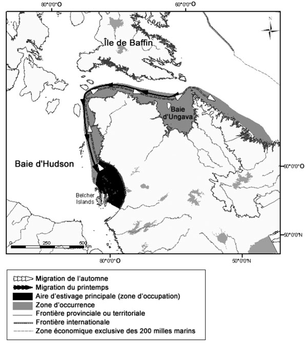 Figure 6. Zone d’occurrence et aire d’estivage principale de la population de bélugas de l’est de la baie d’Hudson (données modifiées par rapport à celles du MPO, 2002b).
