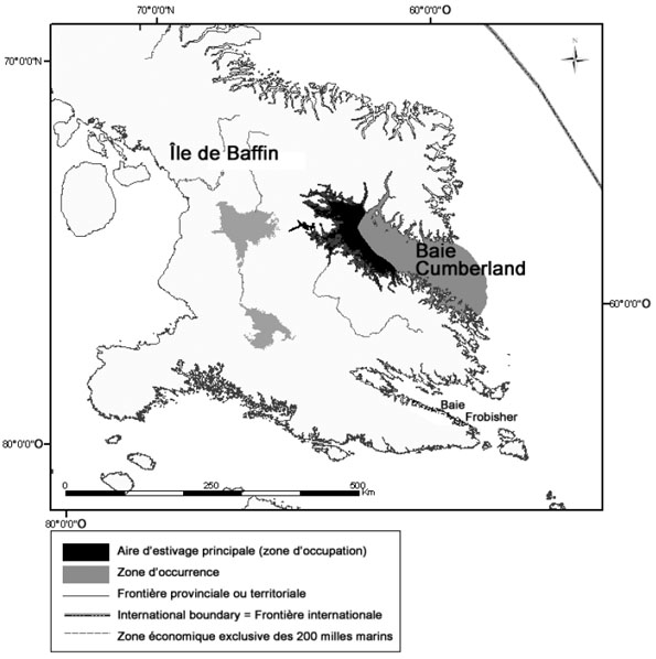 Figure 9 : Zone d’occurrence et aire d’estivage principale de la population de bélugas de la baie Cumberland.