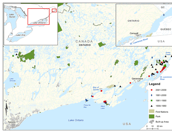 Figure 3 (c). Distribution of the Grass Pickerel in southeastern Ontario (See long description below)
