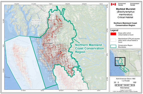 Fig B-2: Map showing scattered locations of critical habitat throughout the Northern Mainland Coast Conservation Region. (See long description below)