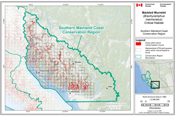 Fig B-6: Map showing scattered locations of critical habitat throughout the Southern Mainland Coast Conservation Region. (See long description below)
