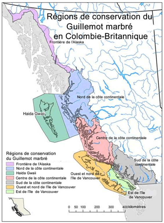 Figure 2. Carte des sept régions de conservation reconnues par l'équipe de rétablissement du Guillemot marbré en Colombie-Britannique. (Voir description longue ci-dessous.)