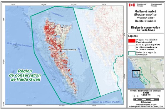 Figure B-1. L’habitat essentiel du Guillemot marbré dans la région de conservation de Haida Gwaii. (Voir description longue ci-dessous.)