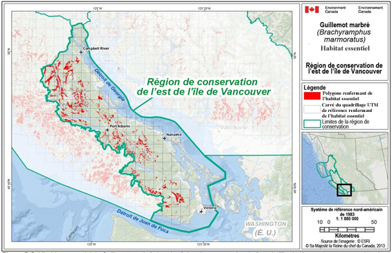 Figure B-5. L’habitat essentiel du Guillemot marbré dans la région de conservation de l’est de l’île de Vancouver. (Voir description longue ci-dessous.)
