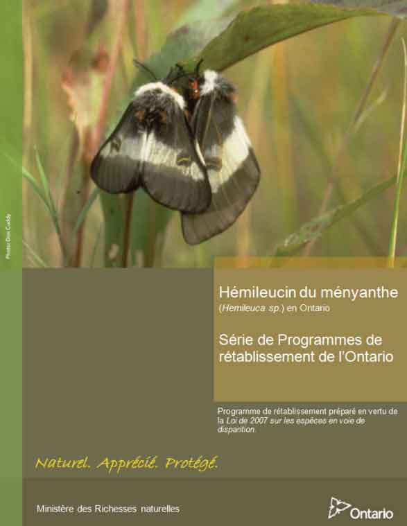 Hémuleucin du ményanthe en Ontario