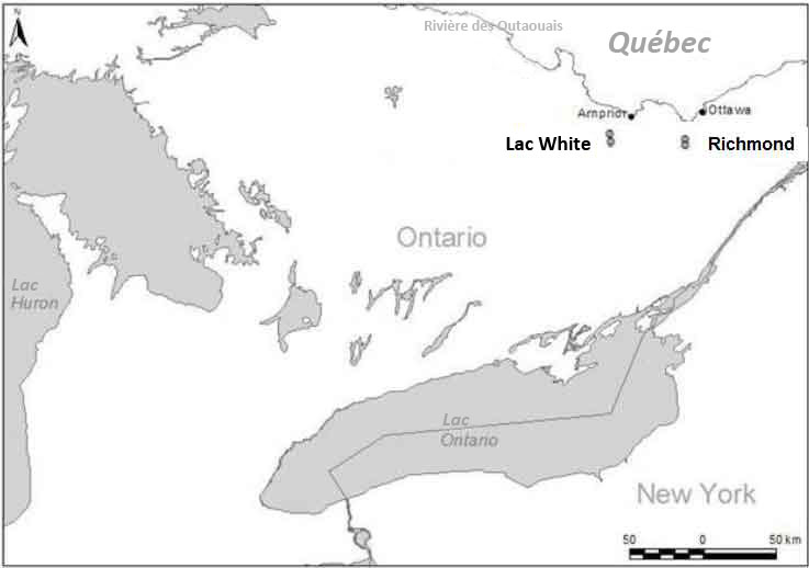Répartition de l'hémileucin ményanthe en Ontario (COSEPAC, 2009).