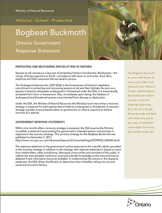 The Bogbean Buckmoth in Ontario