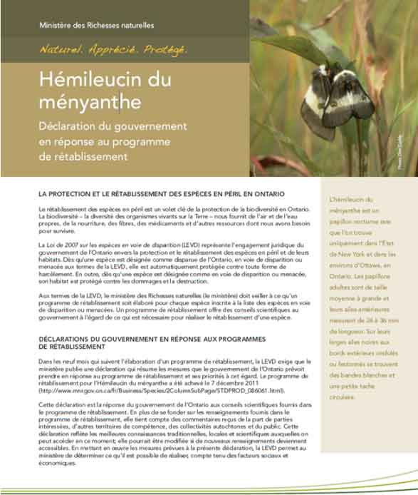 Déclaration du gouvernement de l'Ontario en réponse au programme de rétablissement de l'hémileucin du ményanthe