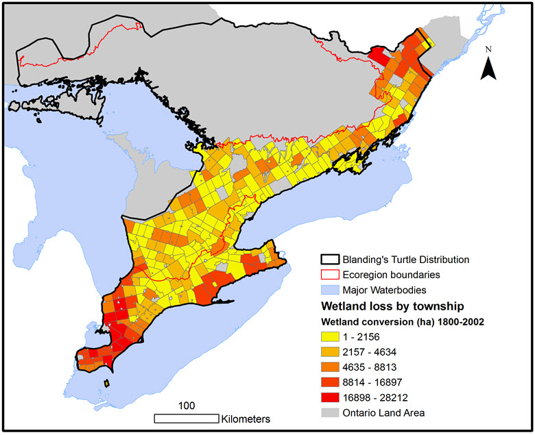 Wetland loss by township across the Lake Ontario/Lake Erie and Lake Simcoe/Rideau ecoregions within the range of Blanding’s Turtles in Ontario