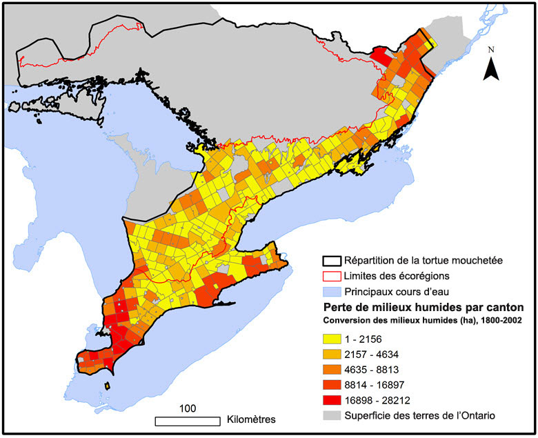 Perte de milieux humides par comté à l’échelle des écorégions du lac Ontario – lac Érié et du lac Simcoe – Rideau dans l’aire de répartition de la tortue mouchetée en Ontario