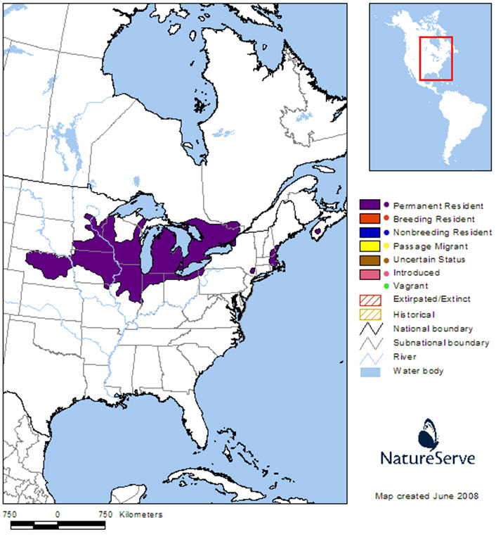 Blanding’s Turtle distribution in North America.