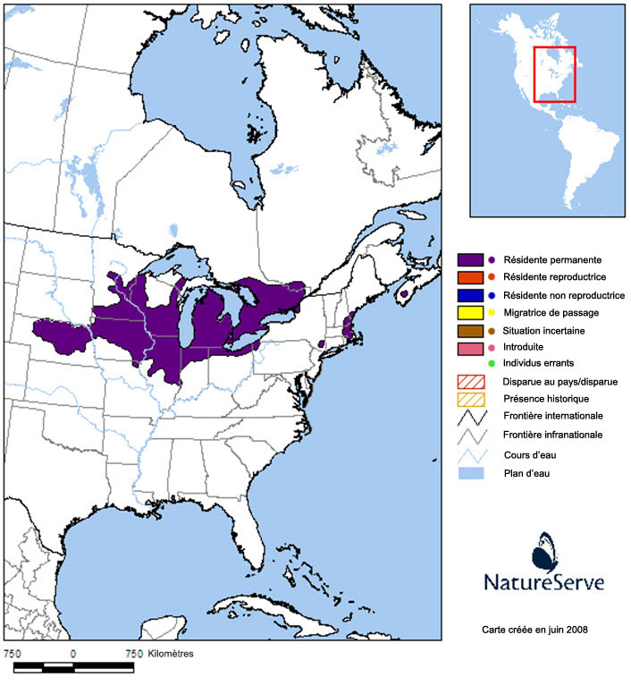 Répartition de la tortue mouchetée en Amérique du Nord.