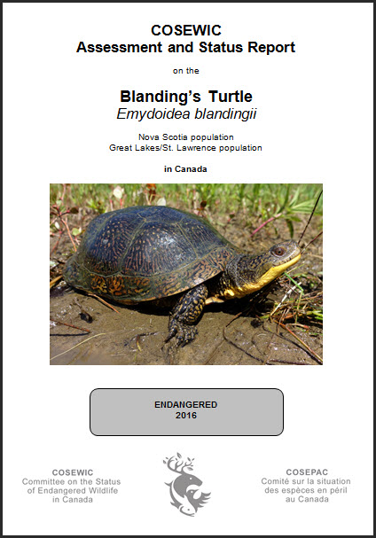 COSEWIC Assessment and Status Report on the Blanding’s Turtle