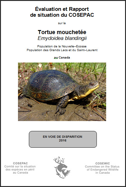 COSEWIC Assessment and Statut Report on the Blanding’s Turtle