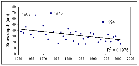 Figure 21.  September-May maximum snow depth at month end at Resolute Bay, Nunavut, 1961-2001. Square symbols represent caribou die-off years. The apparent declining trend is not statistically significant.