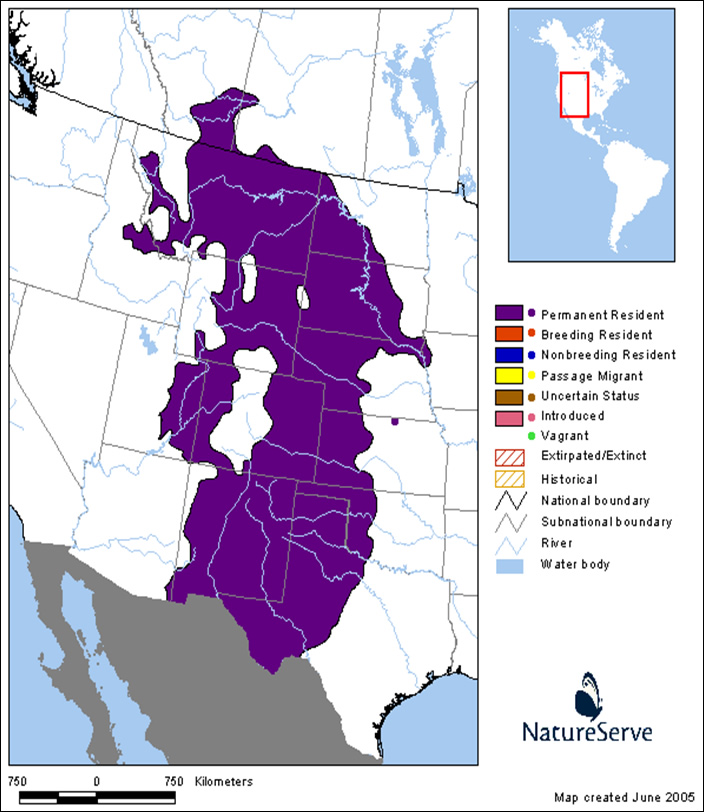 Approximate global range of the Prairie Rattlesnake
