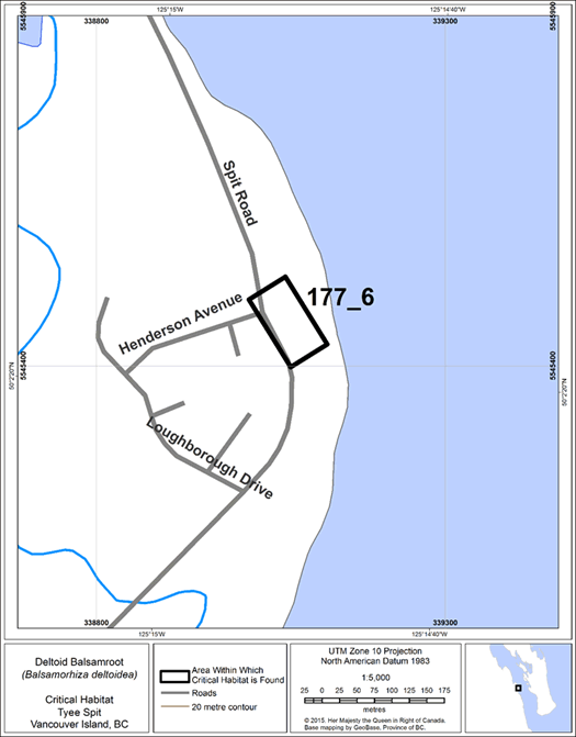 Figure 33. Région à l'intérieur de laquelle l'habitat essentiel de la Balsamorhize à feuilles deltoïdes se retrouve à Tyee Spit, la rivière Campbell, des terres fédérales.