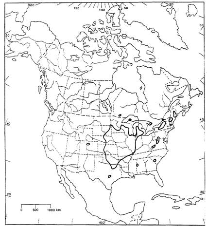  Global distribution of Aristida basiramea