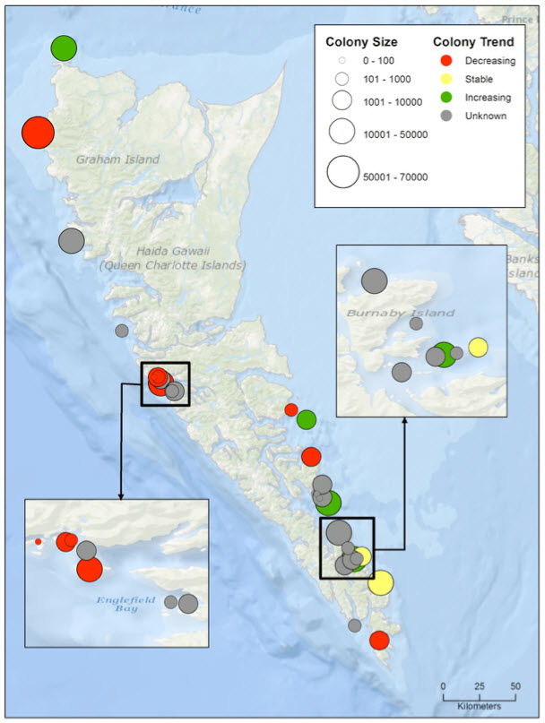 Map indicating locations of Ancient Murrelet