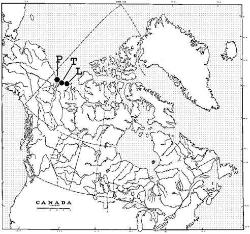 Figure 4. Map showing Canadian distributions (see black dots, upper left): "P" indicates Phillips Bay (Yukon), "T" = Tuktoyaktuk, Tuktoyaktuk Harbour and Kugmallit bay (NWT) areas, "L" = Liverpool Bay (including Wood Bay, NWT). Distributions adapted from Species at Risk (see Environment Canada 2002) and known museum records (Collections examined & Table 1)