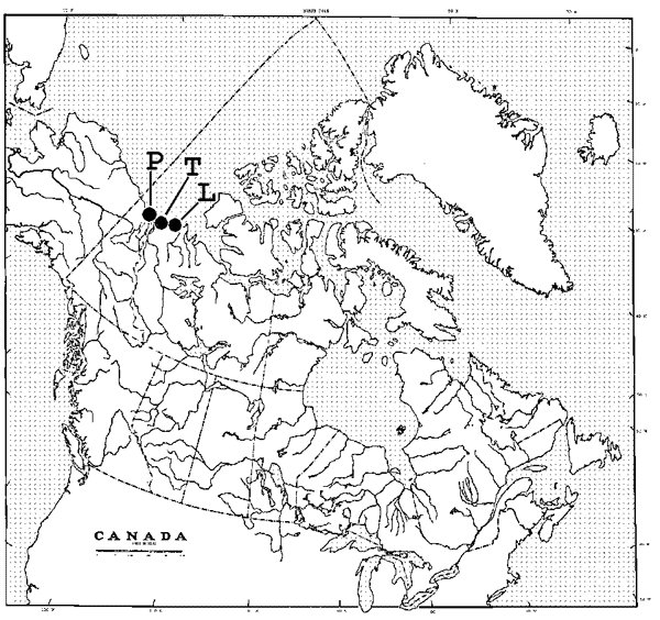 Figure 4.   Carte illustrant la répartition au Canada (voir les points noirs, en haut, à gauche) : « P » = baie Phillips (Yukon), « T » = régions de Tuktoyaktuk, du port de Tuktoyaktuk et de la baie Kugmallit (Territoires du Nord-Ouest), « L » = baie Liverpool (y compris la baie Wood, Territoires du Nord-Ouest)