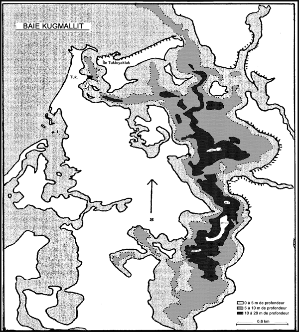 Figure 5.   Lignes bathymétriques dans le port de Tuktoyaktuk indiquant l’habitat protégé des régions profondes, où l’on suppose que l’eau de mer est retenue pendant la crue printanière du Mackenzie et où les terrassiers à six lignes peuvent trouver un refuge (voir Hopky et Ratynski, 1983)
