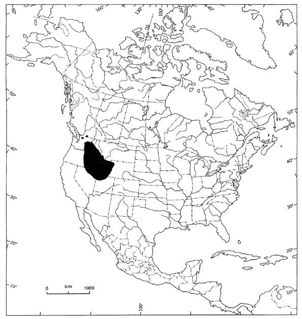 Figure 2. &nbsp;Distribution of Collomia tenella in North America.