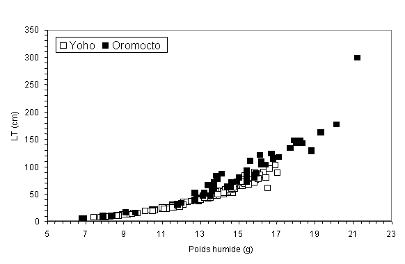 Figure 6.  Relation longueur-poids des crapets rouges capturés dans les lacs Yoho et Oromocto en 2005 (Gautreau et Curry, 2006).