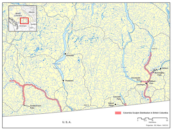 Distribution of Columbia sculpin in Canada.  (See long description below)