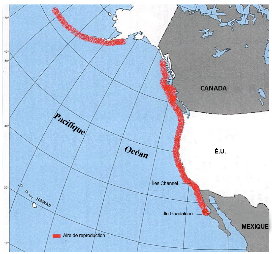 Carte montrant l’aire de reproduction du Starique de Cassin