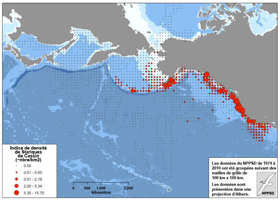 Carte montrant la répartition et l’abondance en mer du Starique de Cassin