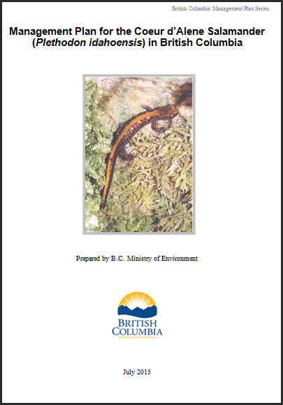 the Coeur d'Alene Salamander