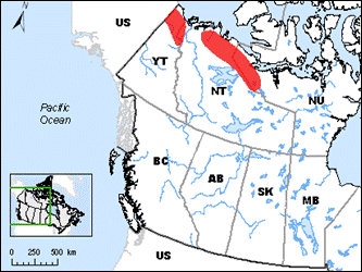 Figure 1. Known and potential historic breeding areas of Eskimo Curlew