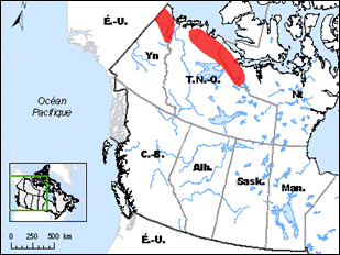 Figure 1. Aires de reproduction historiques connues et possibles du Courlis esquimau