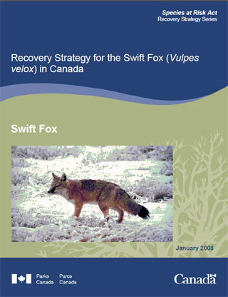 Species at Risk Act recovery strategy series, recovery strategy for the swift fox (Vulpes velox) in Canada (January 2008).
