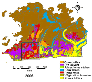 La carte montre l’étendue de l’invasion du roseau et d’autres types de végétation dans le marais Crown.