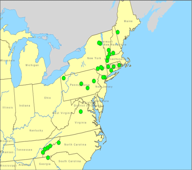 The distribution of Peltigera hydrothyria